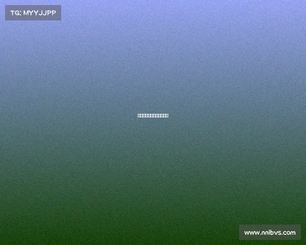 南昌市第十七届田径运动会